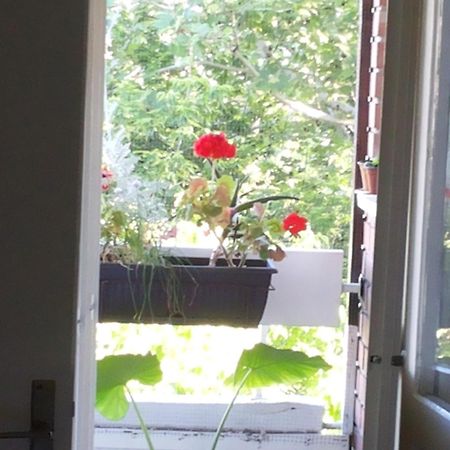 B&B Girasole Novi Sad Oda fotoğraf