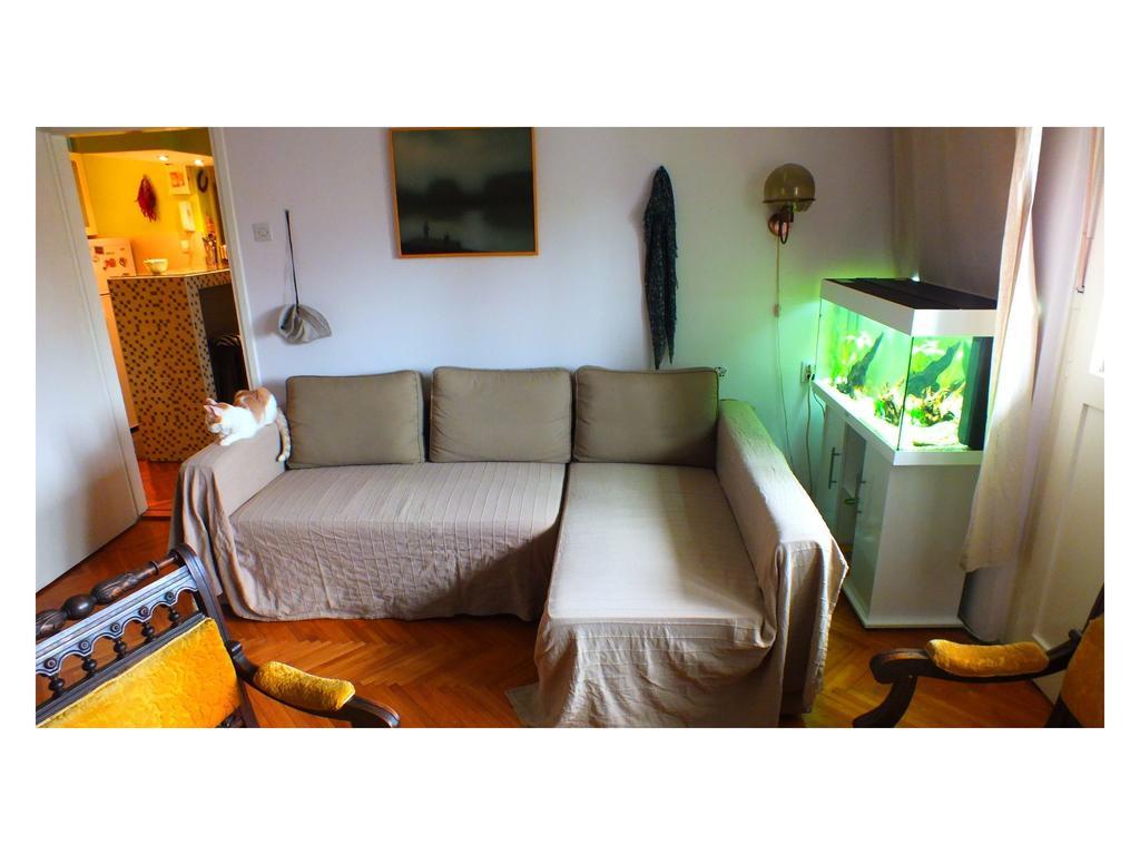 B&B Girasole Novi Sad Oda fotoğraf